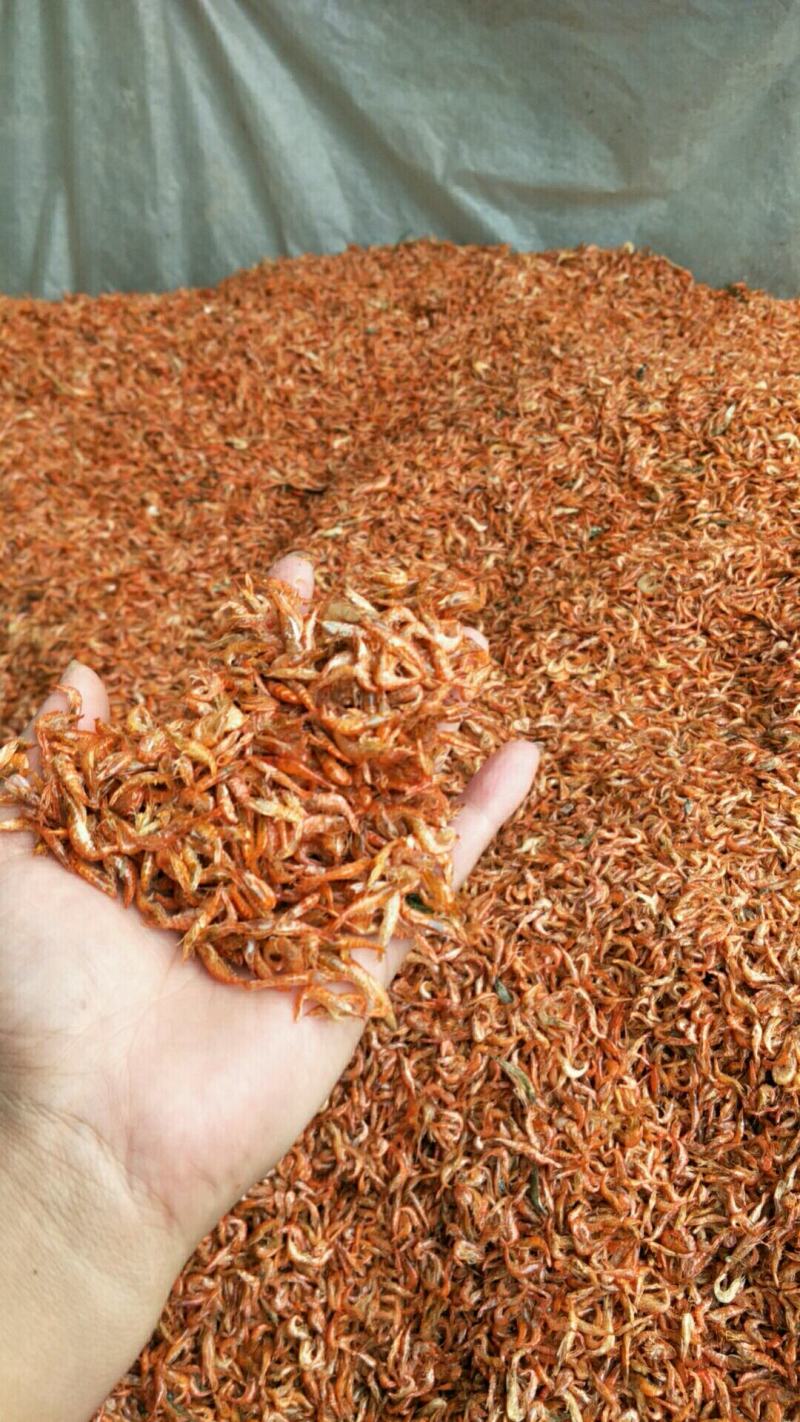 精品淡水生态烘干小红虾