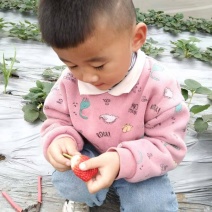 甜宝草莓，1.5亩大棚草莓即将销售