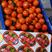 东方红柑橘，世纪红柑桔大量上市了，皮薄，色红，口感好！