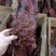 赶集地摊展销大块肉酱香牛肉五香麻辣酱肉腊肉