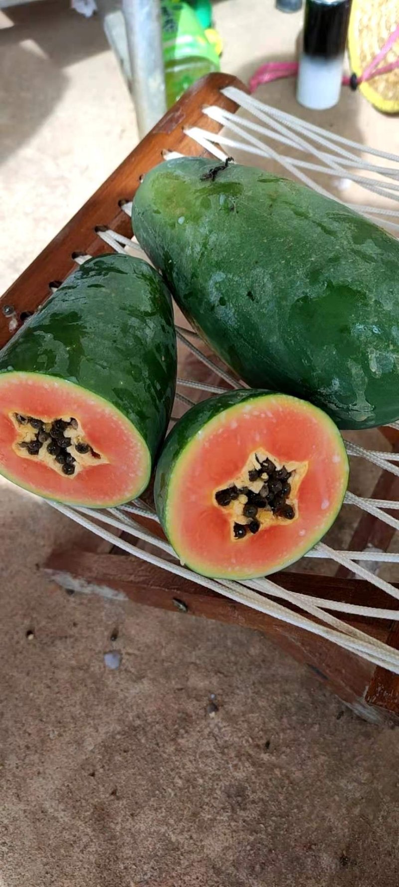 广东木瓜，冰糖红心大青，大白，中白，大量供应中，瓜园直供