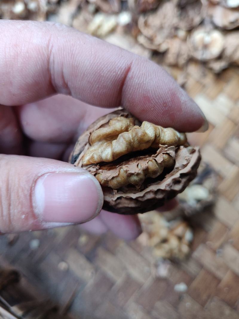 云南麻子核桃32以上大果50斤自然晒果新货薄壳