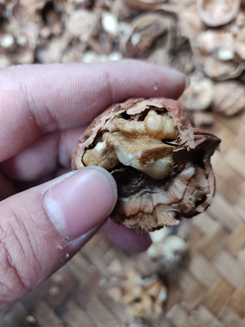 云南麻子核桃32以上大果50斤自然晒果新货薄壳
