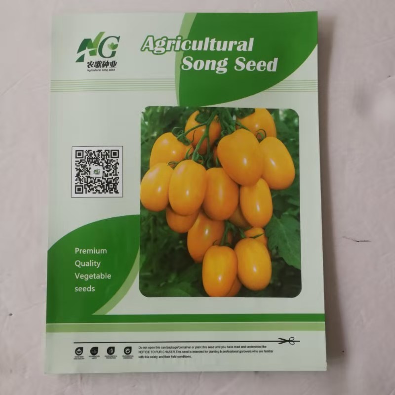小番茄种子樱桃小番茄品种一代杂交种子