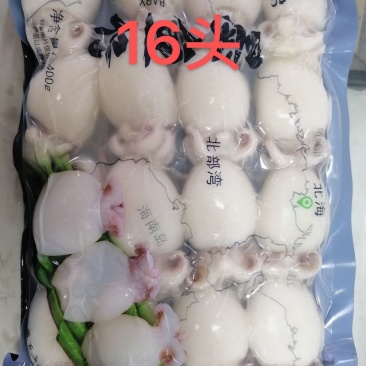 海庆板冻墨鱼仔（餐饮商超板）