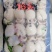 海庆板冻墨鱼仔（餐饮商超板）