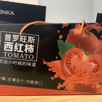 普罗旺斯西红柿山东基地，口感非常不错诚信代办