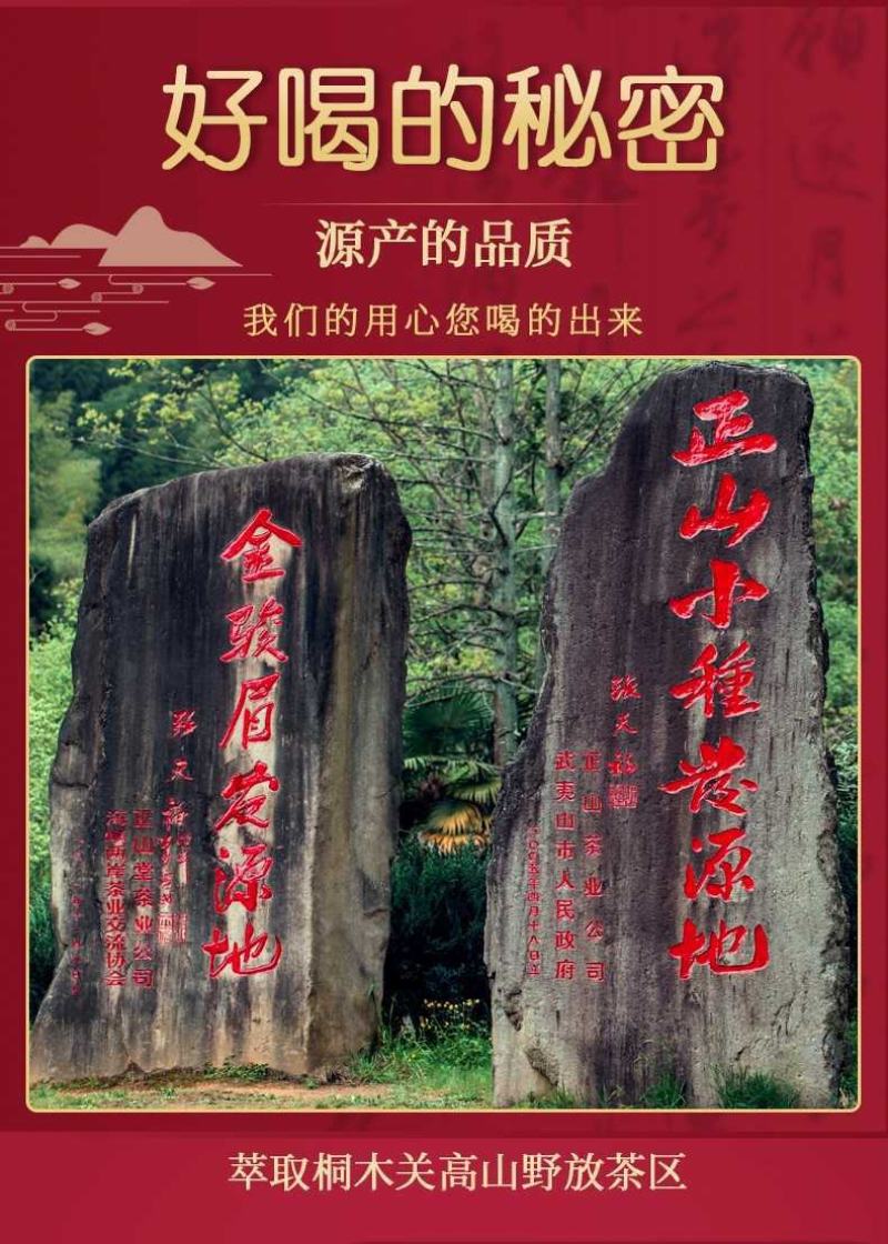 桐木关金骏眉茶叶红茶小罐茶叶厂家批发支持公司定制Logo