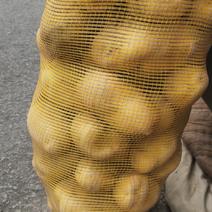 【大量供应】山西蒲县优质红皮土豆，货已不多，需要的速度了