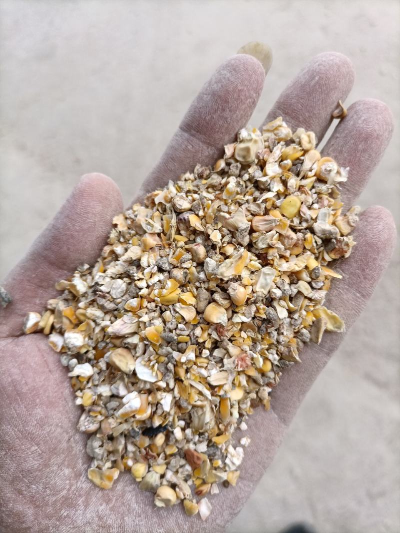 碎玉米大量碎玉米各种规格都有，有效降低饲养成需要的请联系