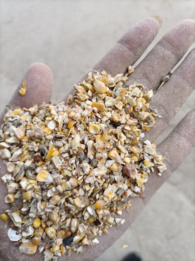 碎玉米大量碎玉米各种规格都有，有效降低饲养成需要的请联系