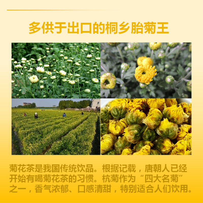 菊花正品胎菊桐乡胎菊王胎菊茶