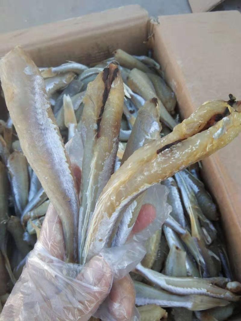【热销】红娘鱼！腌制咸鱼干皮棍鱼产地直销常年有货一手货源