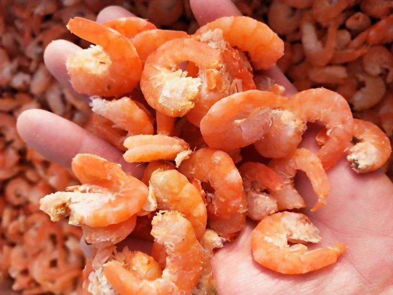【有好货】精品干虾仁对虾海米！自家加工大量现货供应