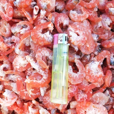 【有好货】精品干虾仁对虾海米！自家加工大量现货供应