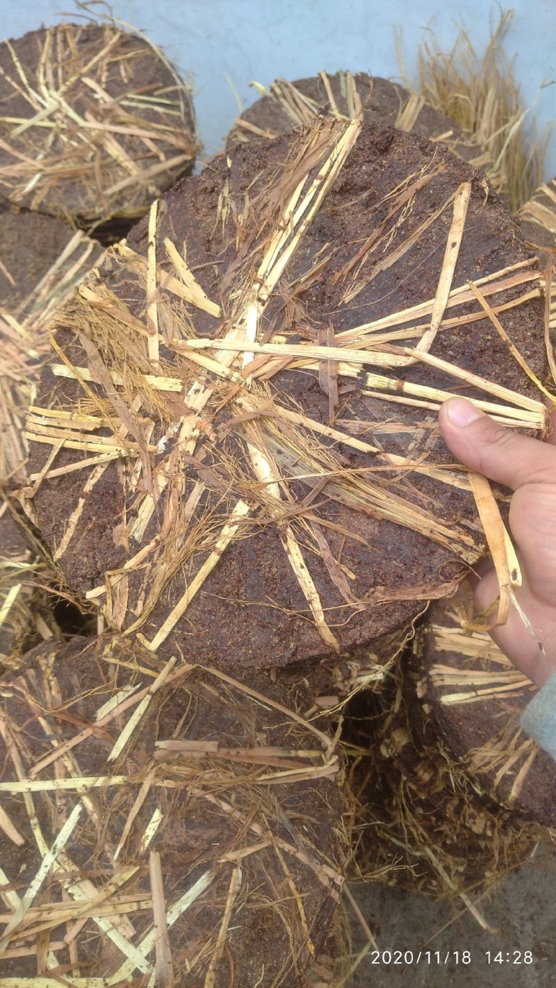 广东本土大量供应野生茶枯(大量大量大量茶粕)