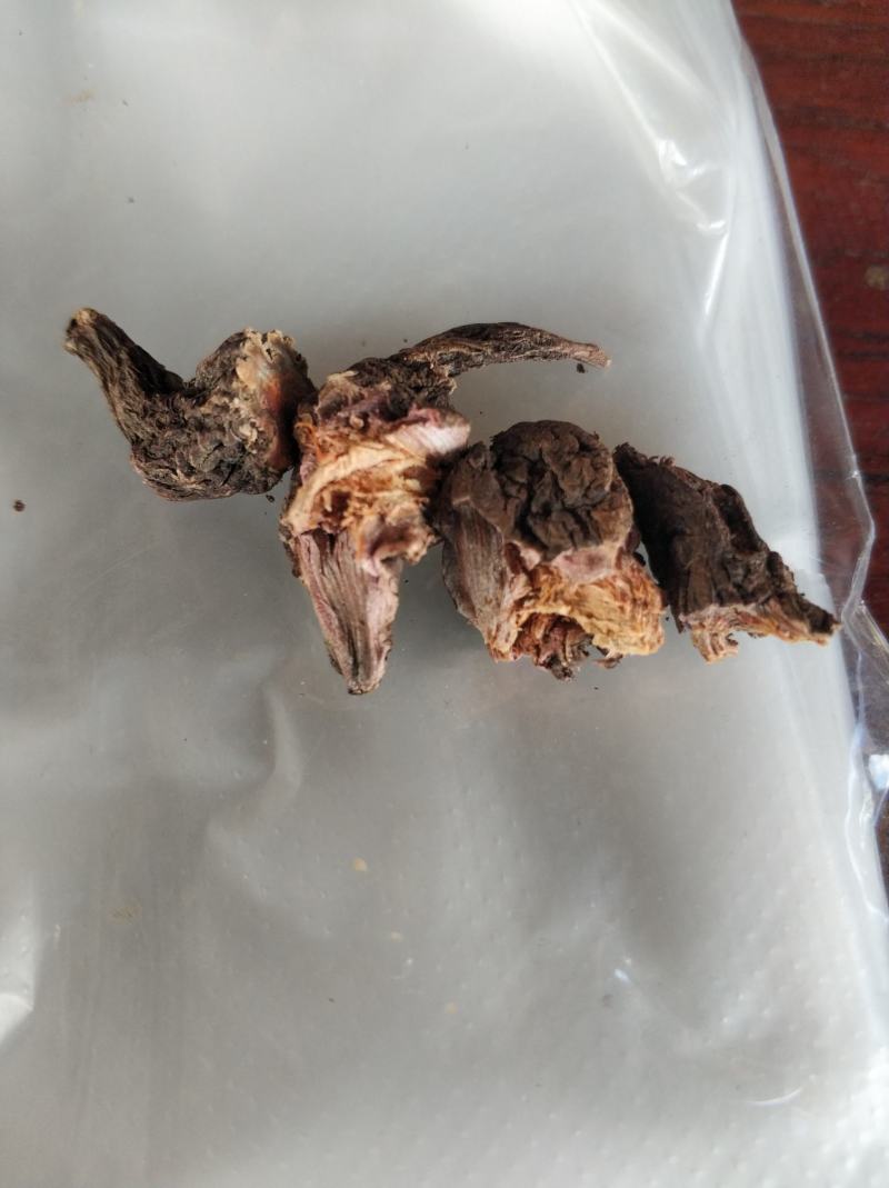 红大戟，，红肉果，新货。。。。