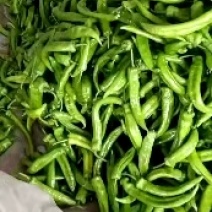 尖椒大量有货产地直销保质保量交通便利店