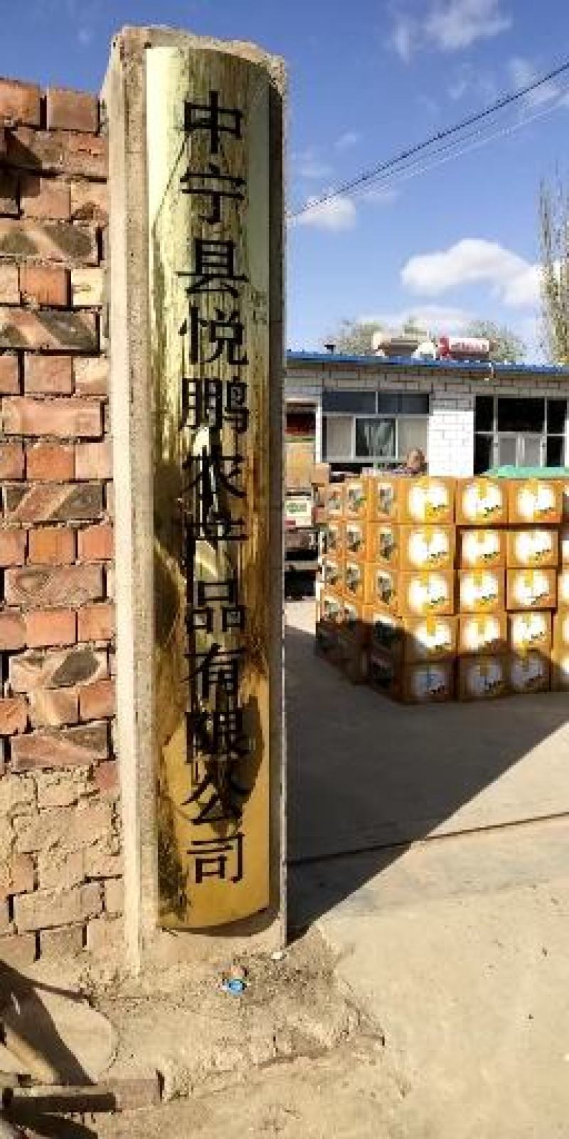 宁夏枸杞大颗粒贡果红枸杞品质号干净25元一斤40斤起售