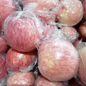 陕西省咸阳市乾县纸加膜红富士苹果正在热销中