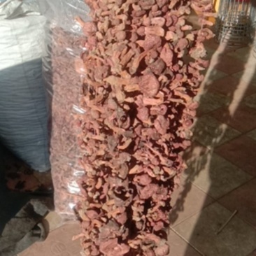 松树伞，红蘑，肉蘑，鸡血蘑串货，自然晾晒一手货源量大优惠