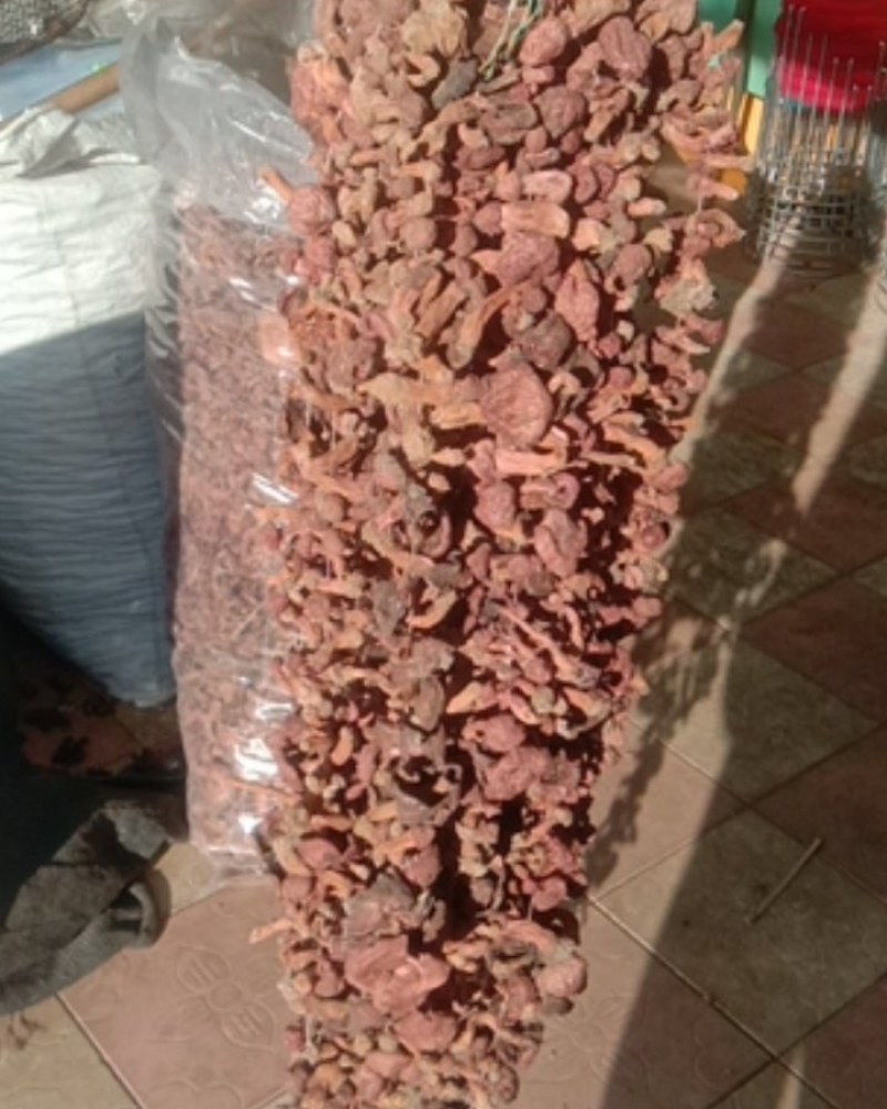 松树伞，红蘑，肉蘑，鸡血蘑串货，自然晾晒一手货源量大优惠