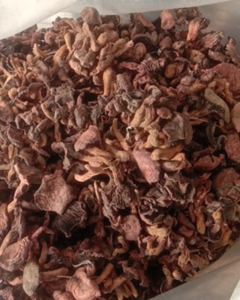 松树伞，红蘑，肉蘑，鸡血蘑串货，自然晾晒一手货源量大优惠