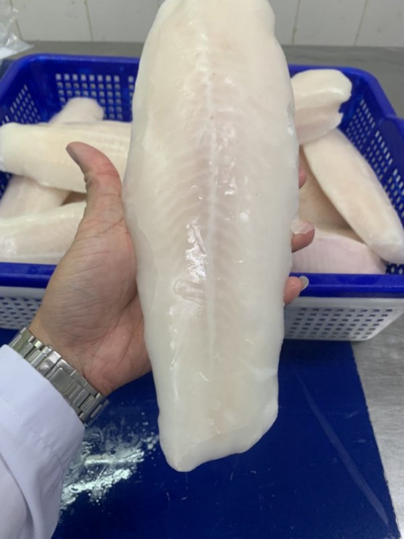 源晟泰品牌去皮巴沙鱼柳，进口原料国内加工，价格便宜