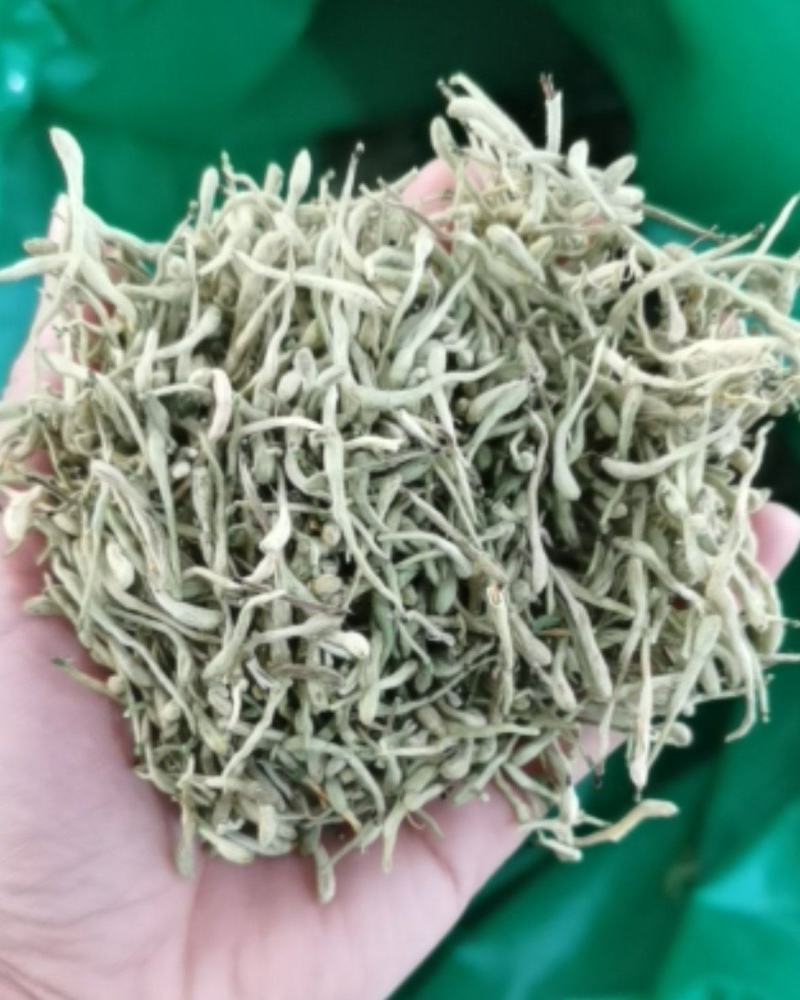 振兴药材批发供应绿色金银花常年供应诚信合作