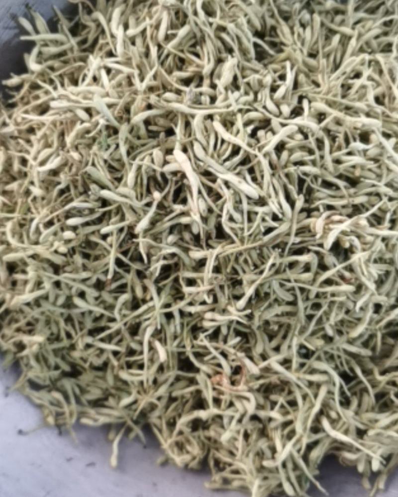 振兴药材批发供应绿色金银花常年供应诚信合作