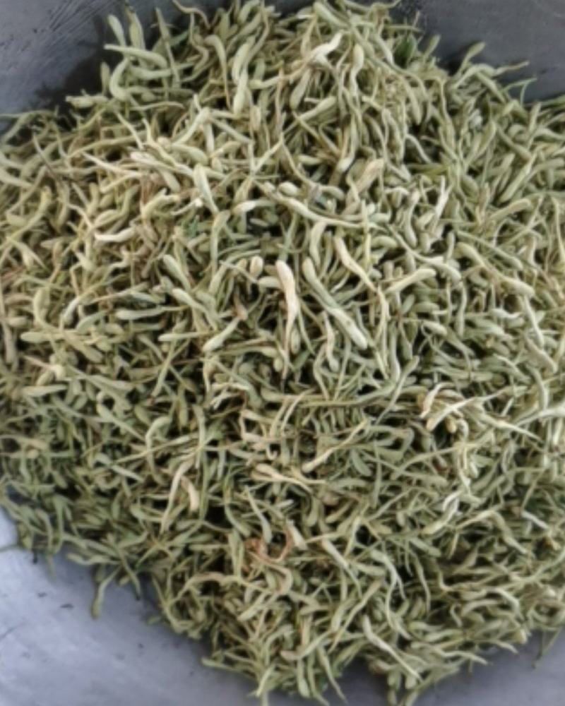 振兴药材批发供应绿色金银花常年供应诚信合作