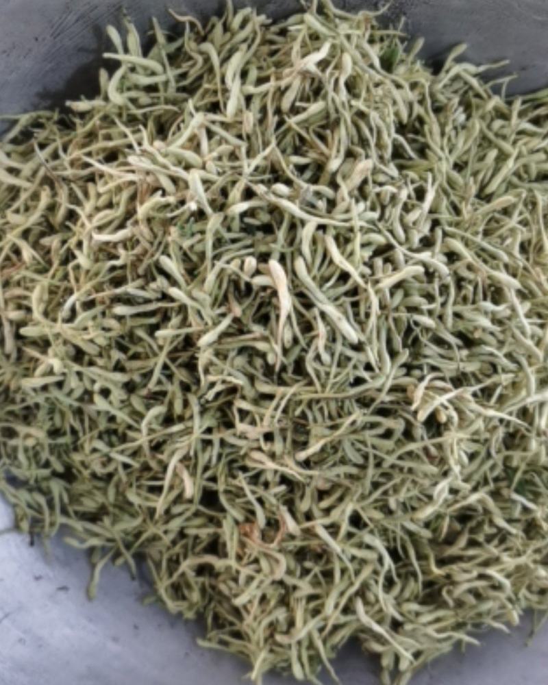 振兴药材批发供应绿色金银花常年供应诚信合作