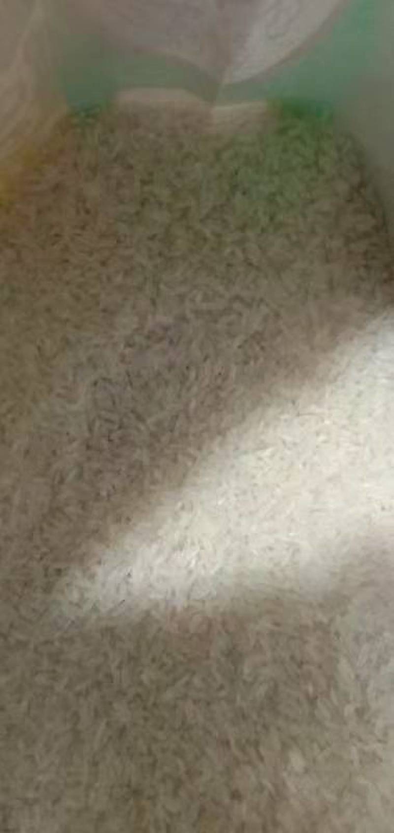 【大量供应】除尘压缩稻壳，除尘散装稻壳，全国发货，常年供应