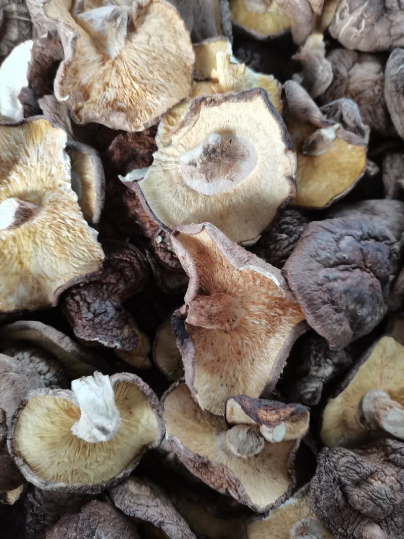 干香菇大薄片干香菇片原产地发货土特产干货源充足稳定