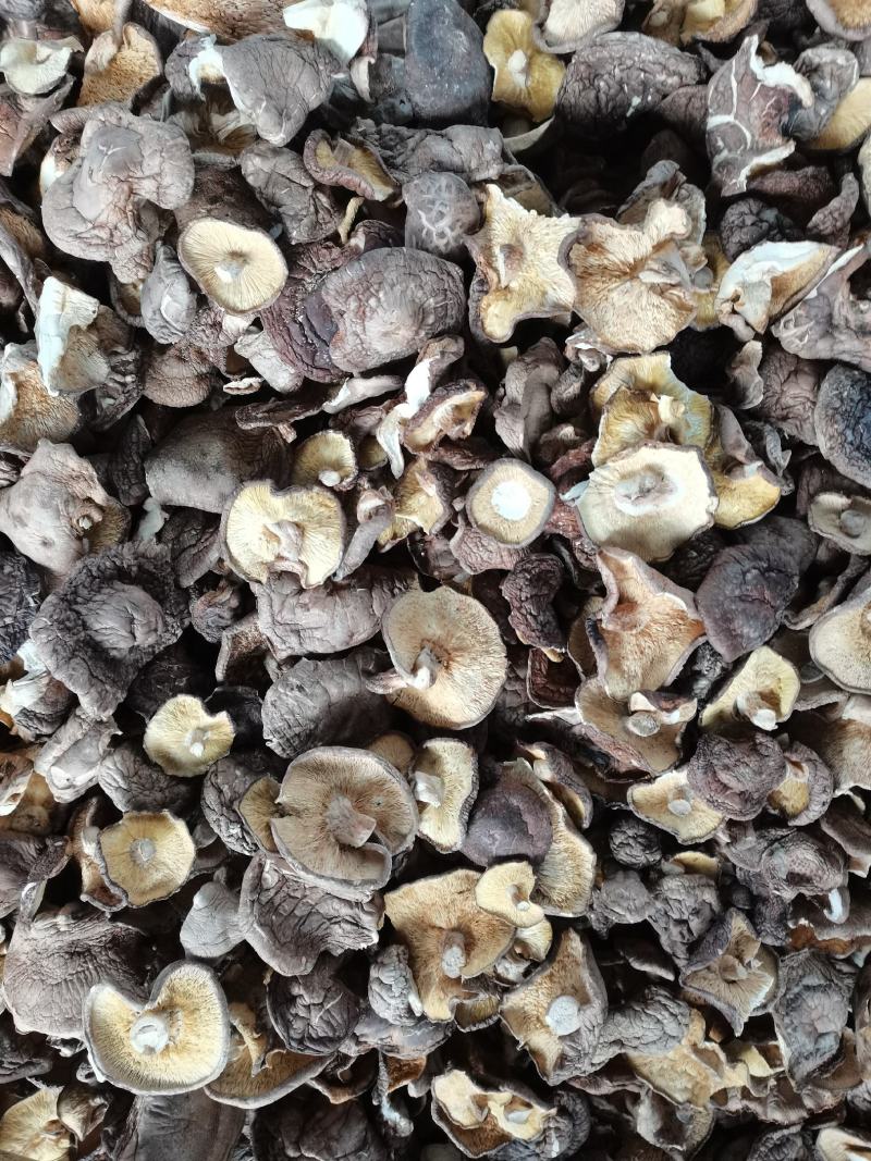 干香菇大薄片干香菇片原产地发货土特产干货源充足稳定