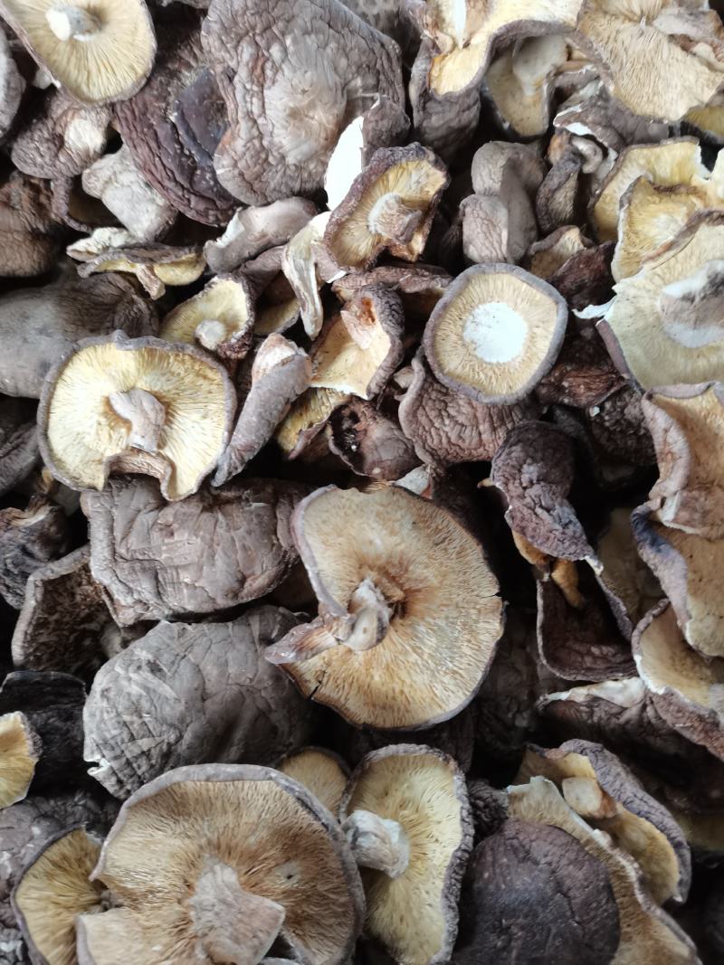 干香菇大薄片干香菇片原产地发货土特产干货源充足稳定