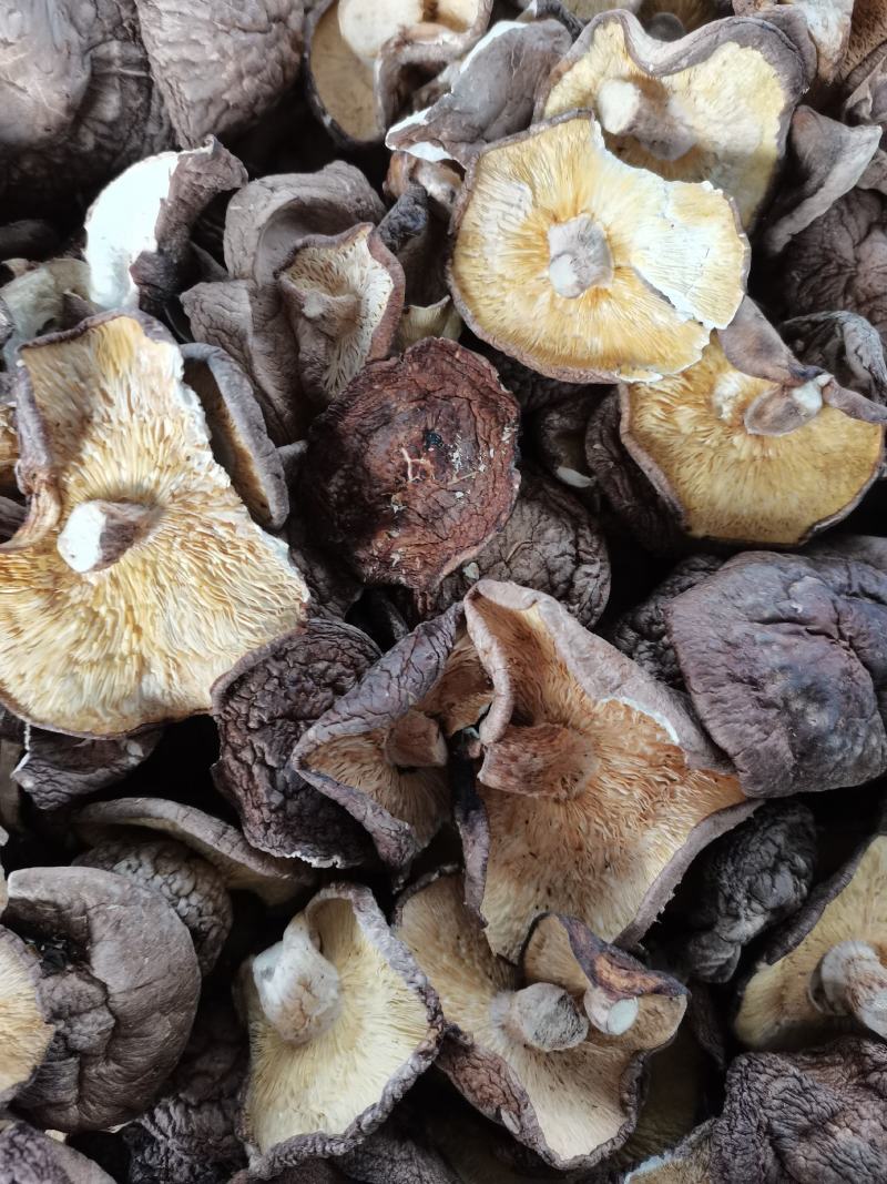 干香菇大薄片干香菇片原产地发货土特产干货源充足稳定