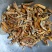 瓜蒌皮振兴药材批发供应瓜蒌皮品种齐全