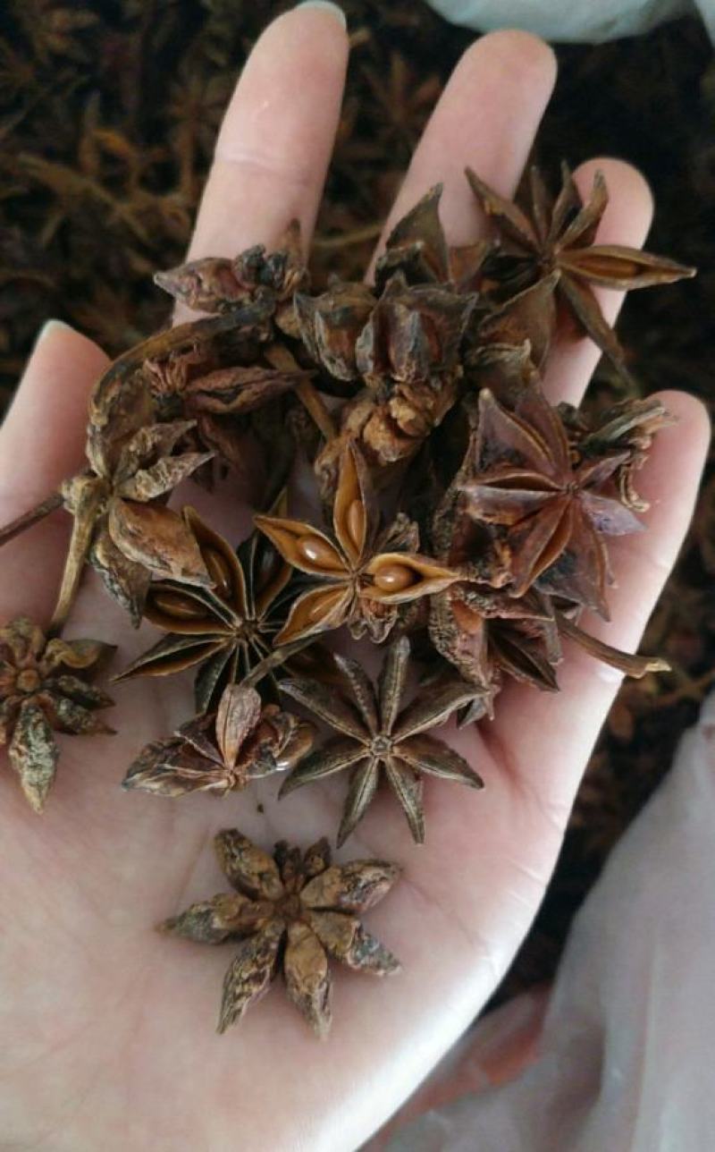 中药材批发八角（大茴香）保质保量常年供应诚信合作