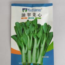 菜心种子油翠菜心种子苔油绿色有光泽耐热耐湿纤维少