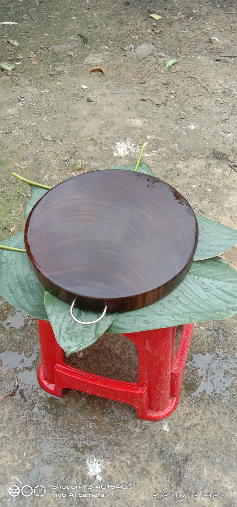 正宗越南进口铁木砧板防霉抗菌蚬木案板耐砍耐剁不易起屑圆形