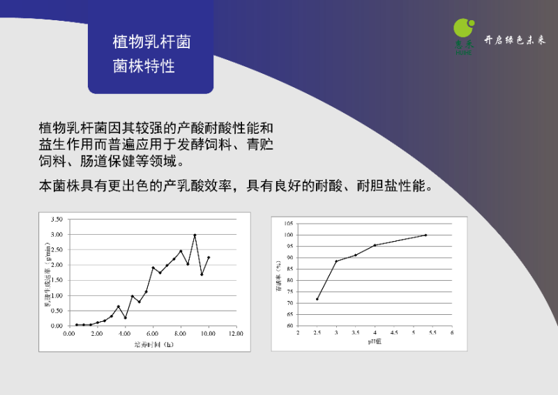 植物乳杆菌1000亿每克饲料发酵饲料添加快速产酸耐酸