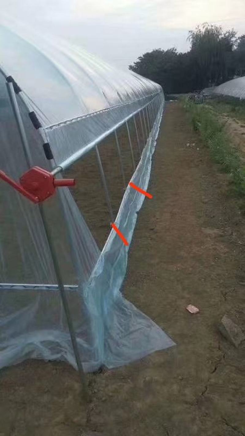 【牛商商家】蔬菜大棚，全国发货，支持安装好付款厂家发货