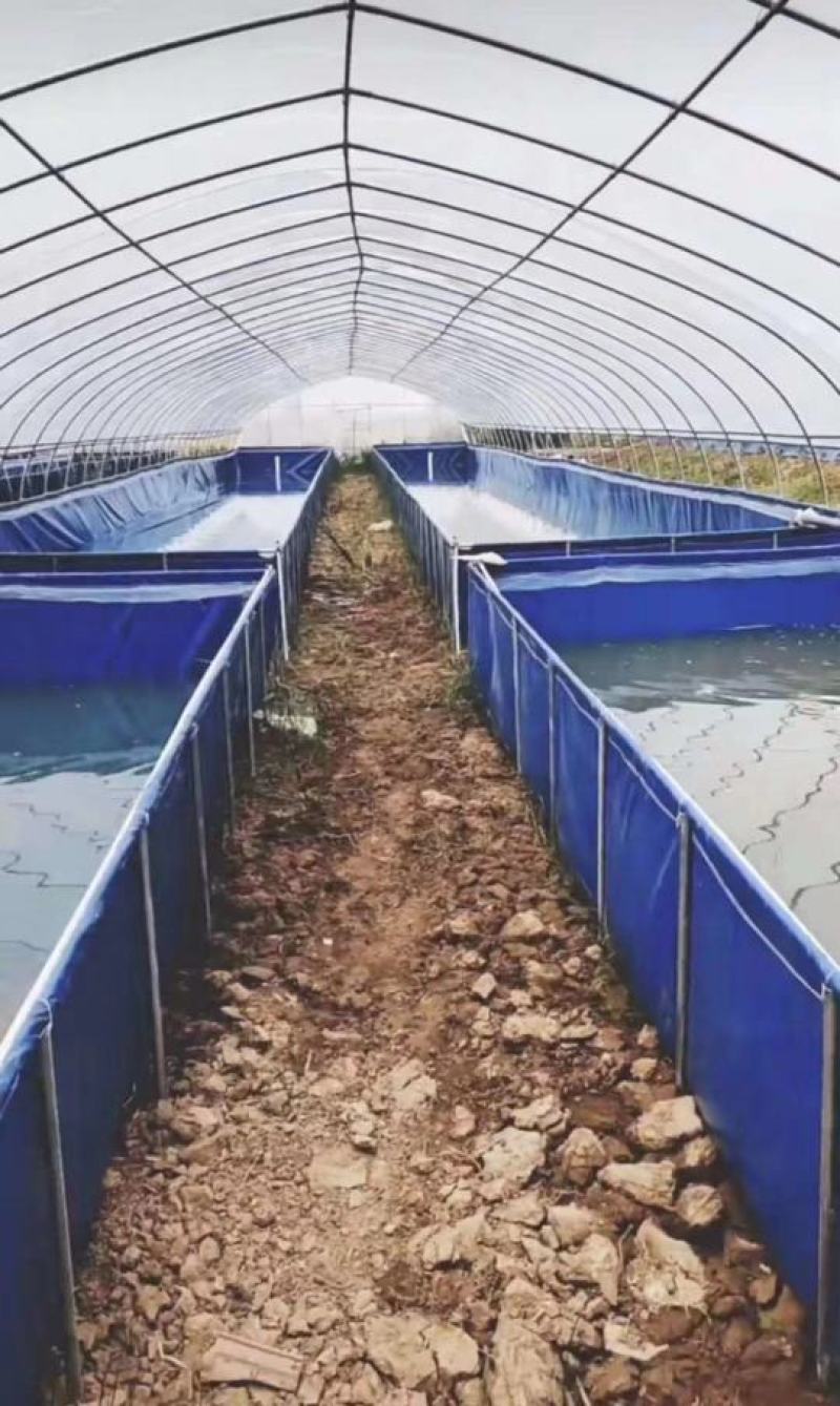 【牛商商家】蔬菜大棚，全国发货，支持安装好付款厂家发货