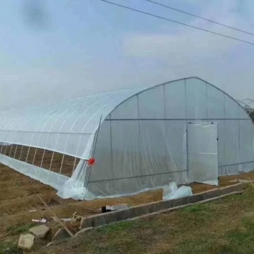 【牛商商家】蔬菜大棚，全国发货，支持安装好付款厂家发货