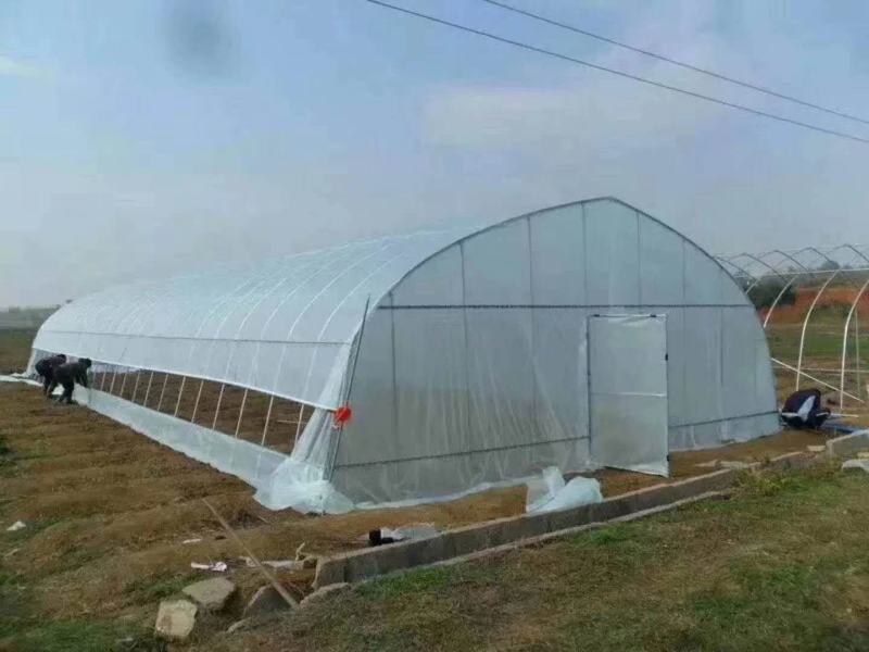 【牛商商家】蔬菜大棚，全国发货，支持安装好付款厂家发货