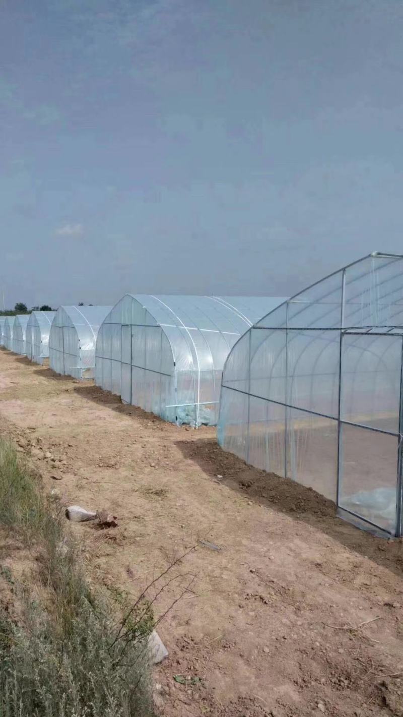 【牛商商家】蔬菜大棚，全国发货，支持安装好付款厂家发货