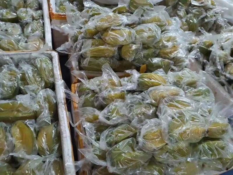 潮汕潮州甜杨桃！产地直供！直接面对果农！