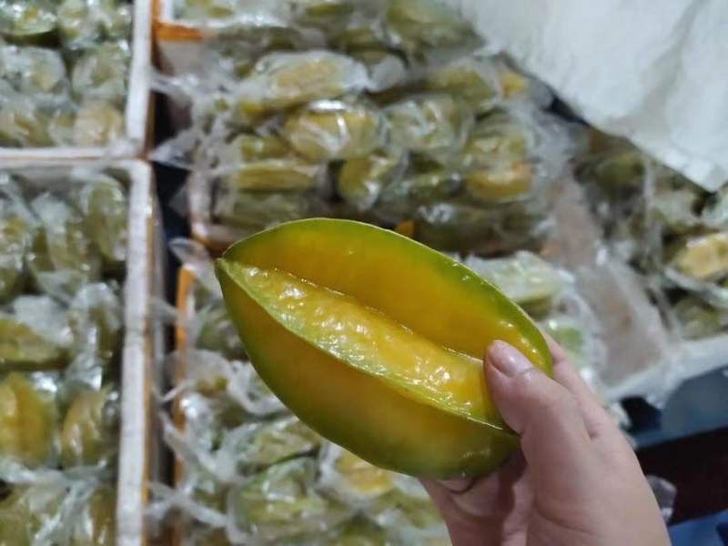 潮汕潮州甜杨桃！产地直供！直接面对果农！