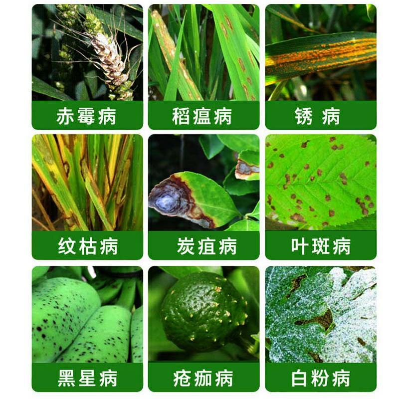 43%戊唑醇水稻曲病梨树黑星病斑点落叶白粉病杀菌剂正